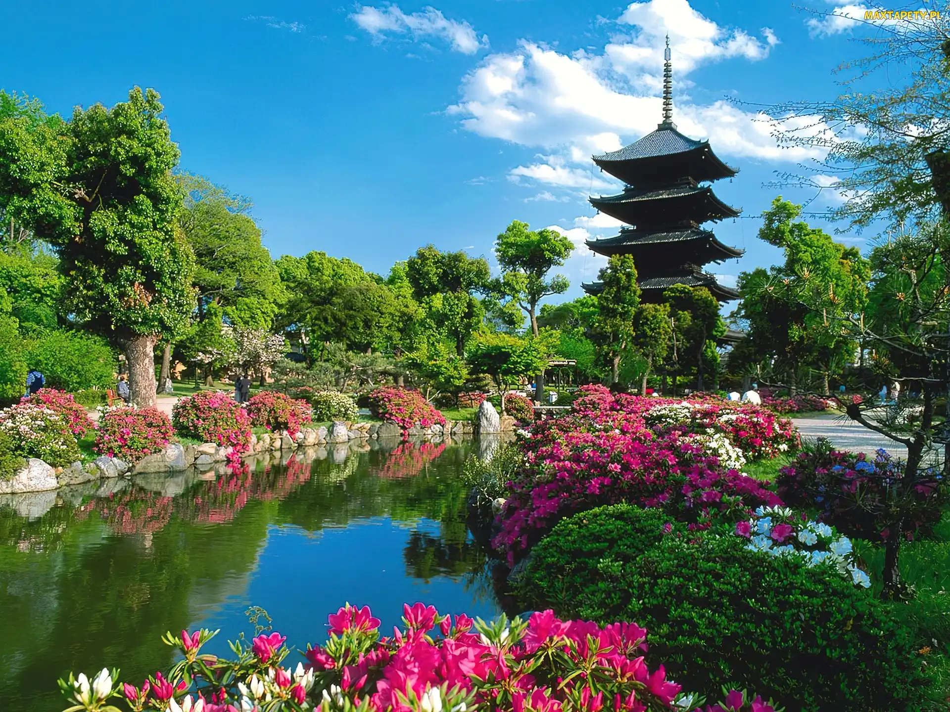 Dom, Drzewa, Japonia
