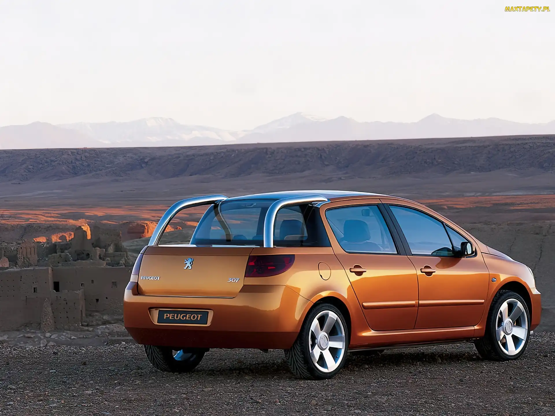 Peugeot 307, Tył