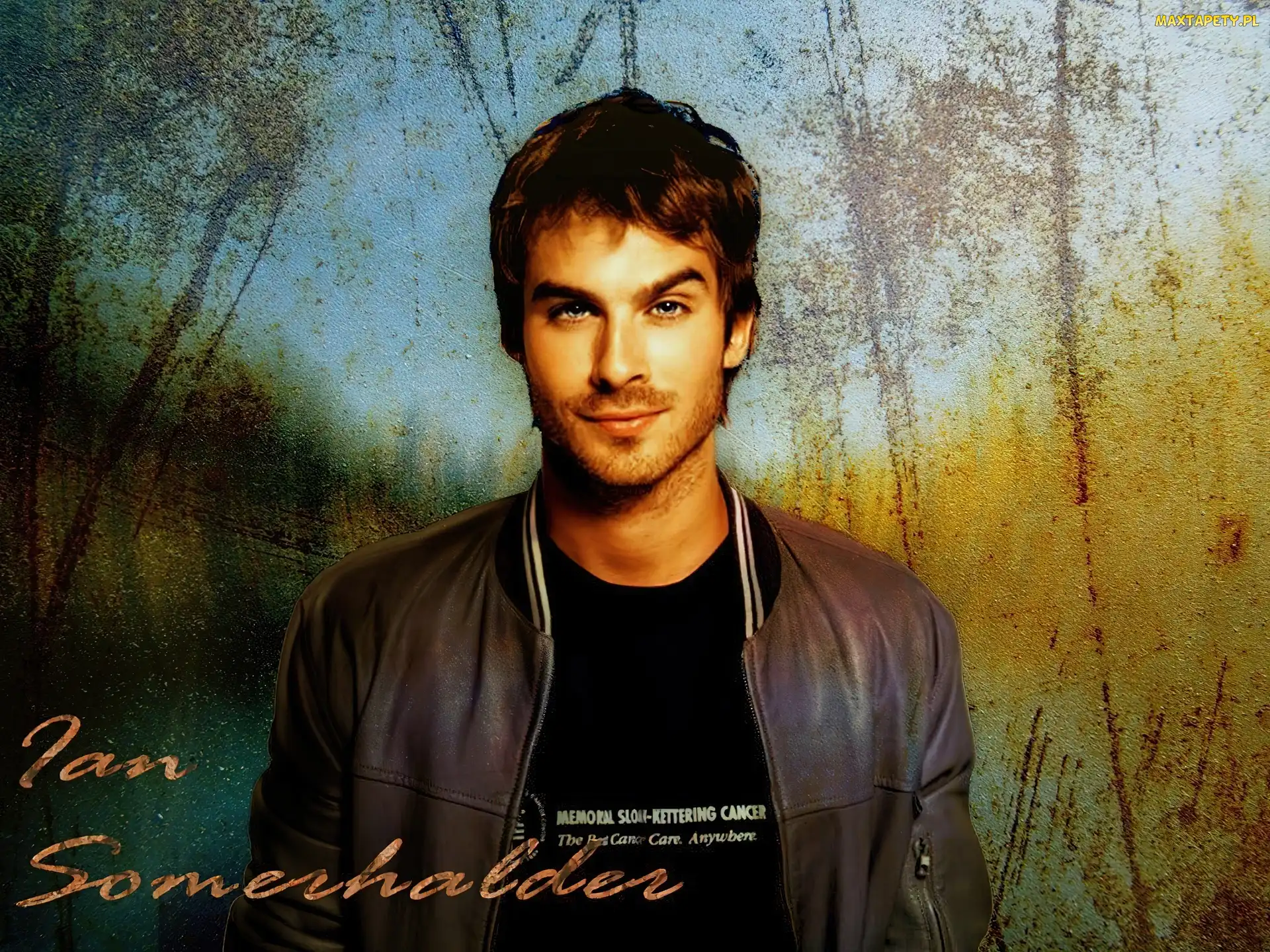 Ian Somerhalder, The Vampire Diaries, Pamiętniki wampirów