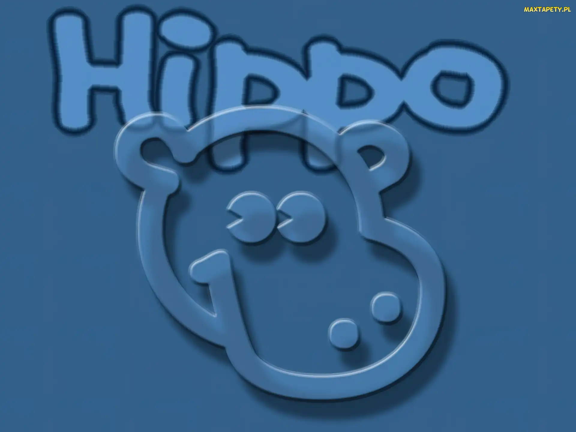 Hippo