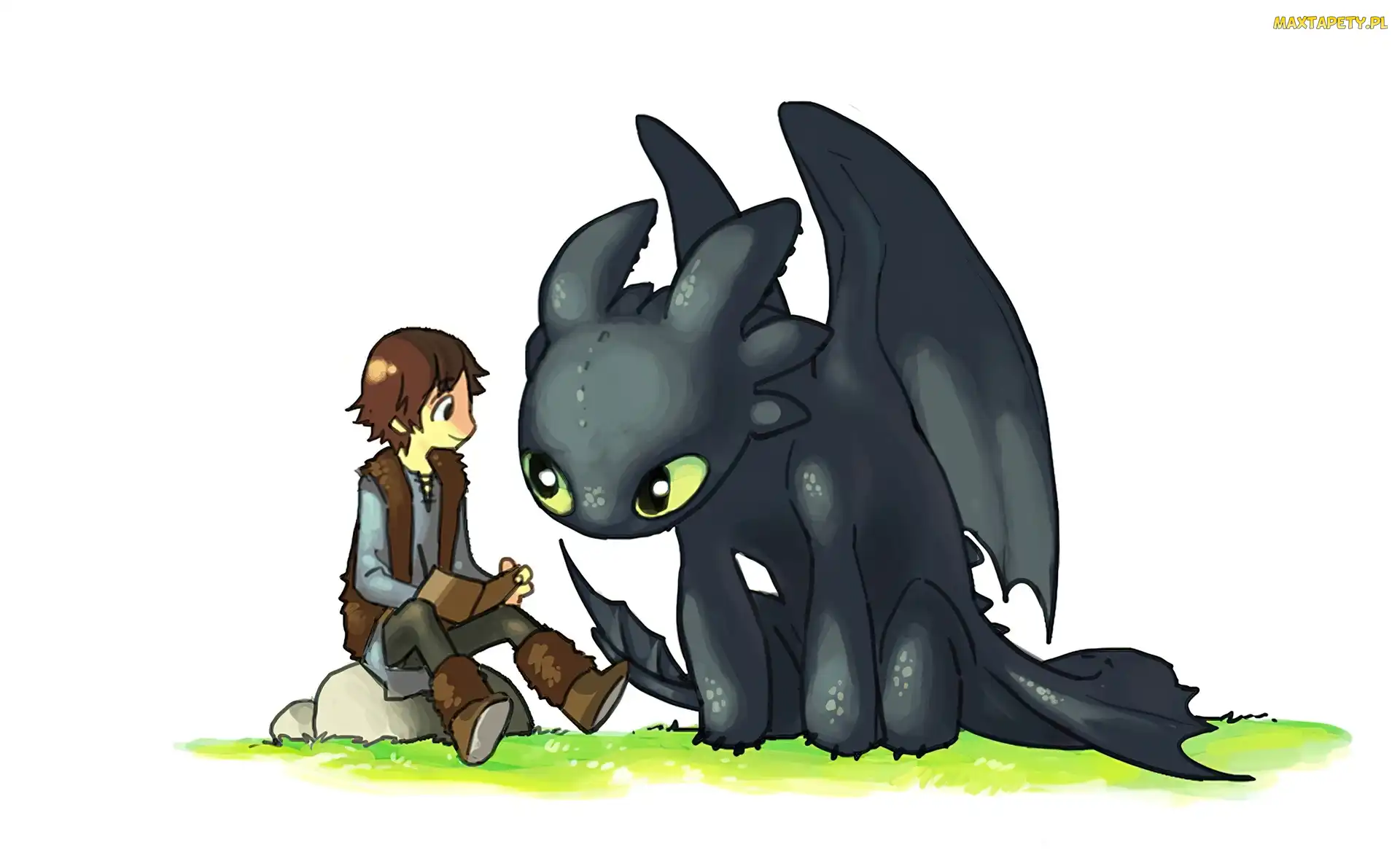 Nocna Furia, Czkawka, Jak wytresować smoka, How to Train Your Dragon