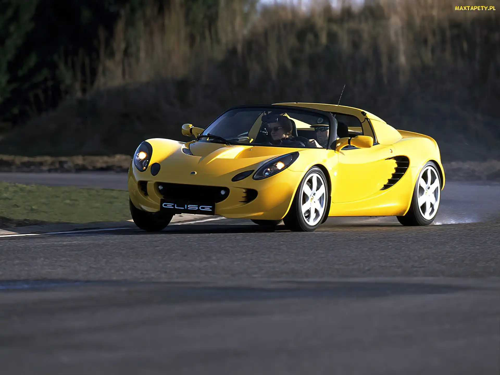 Żółty, Elise