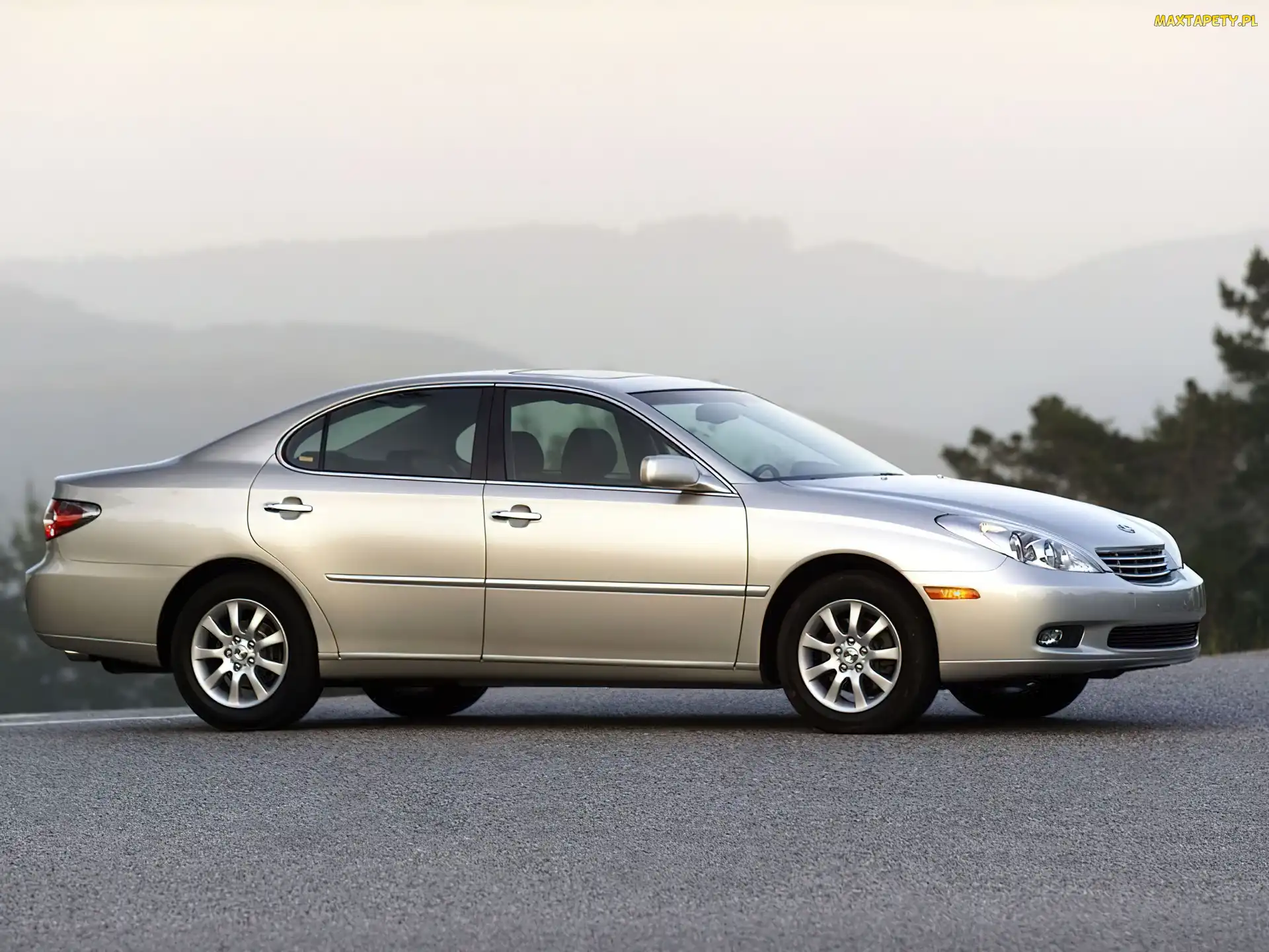 ES, Prawy Profil, Lexus
