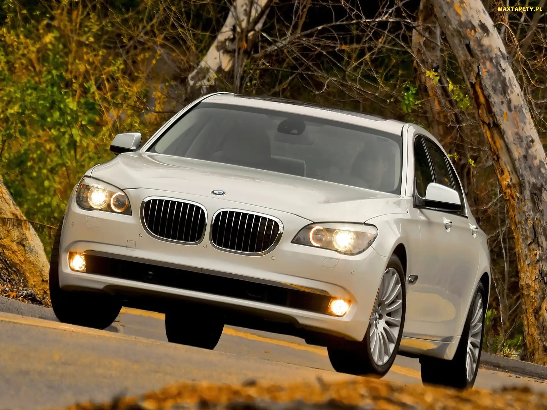 BMW 750Li, Model, Flagowy