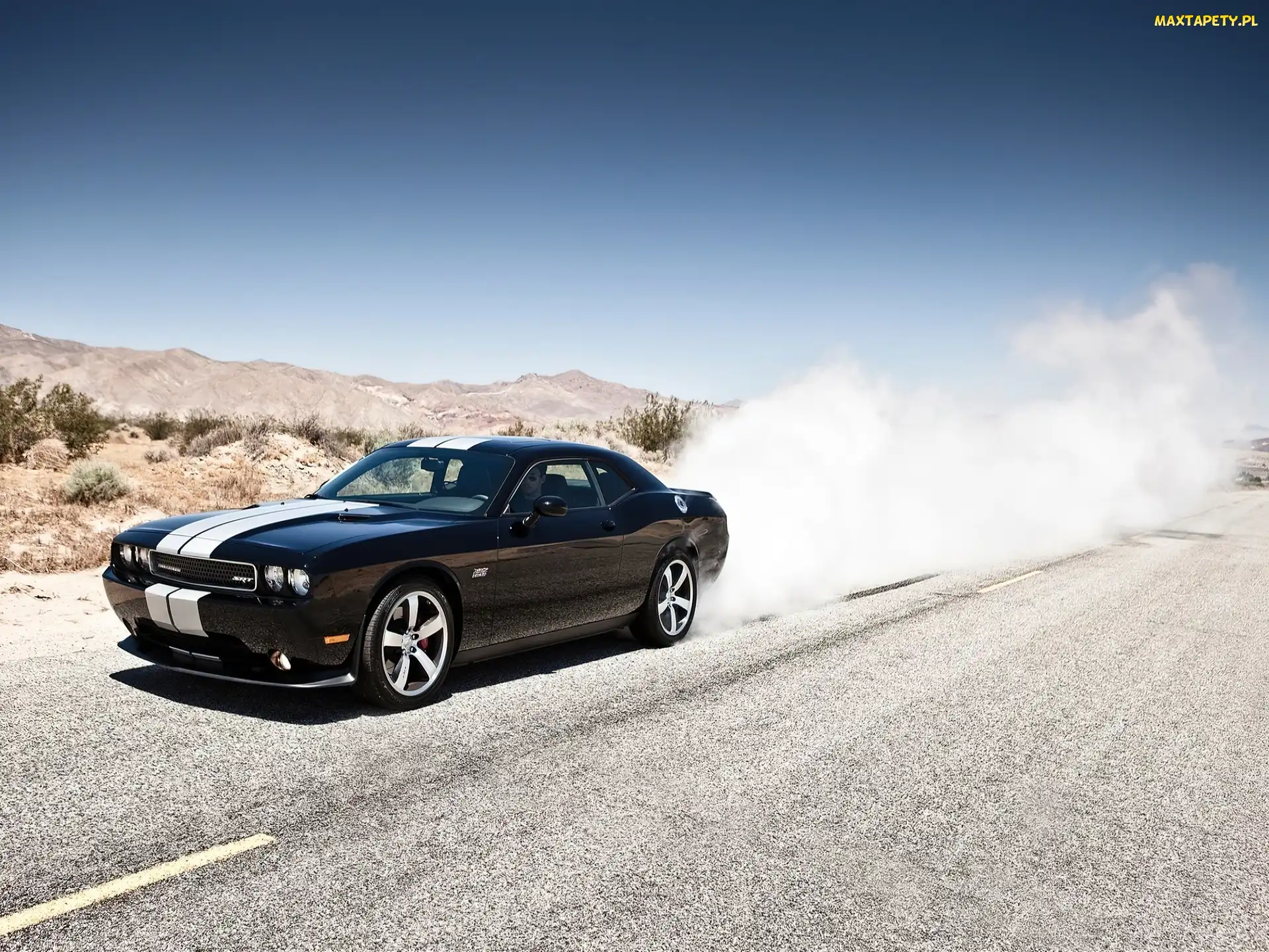 Muscle, Car, Dodge Challenger STR8