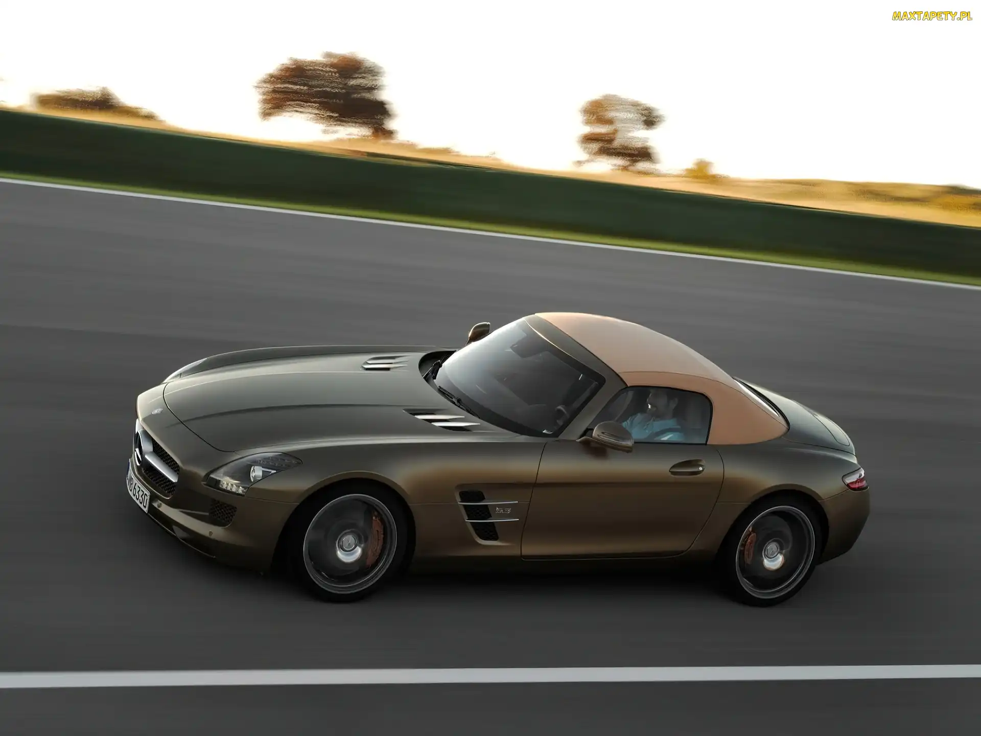 Kolorystyka, Brązowa, Mercedes-Benz SLS Roadster, AMG